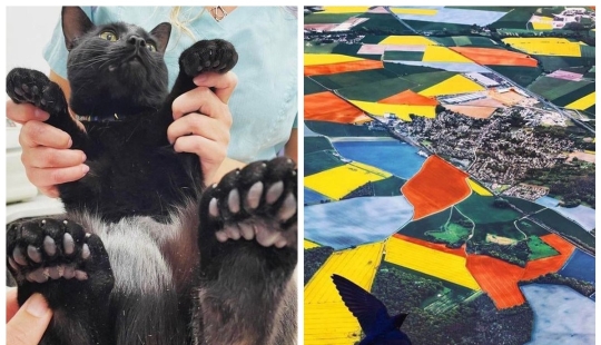 22 amazing frames that are worth seeing at least once in your life
