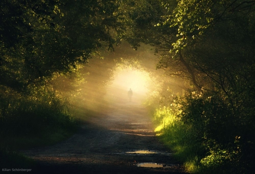 22 amazing landscapes inspired by the fairy tales of the Brothers Grimm