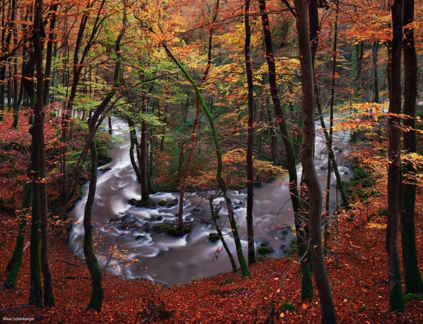 22 amazing landscapes inspired by the fairy tales of the Brothers Grimm