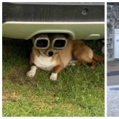 22 amazing photos where the angle decides 22 amazing photos where the angle decides