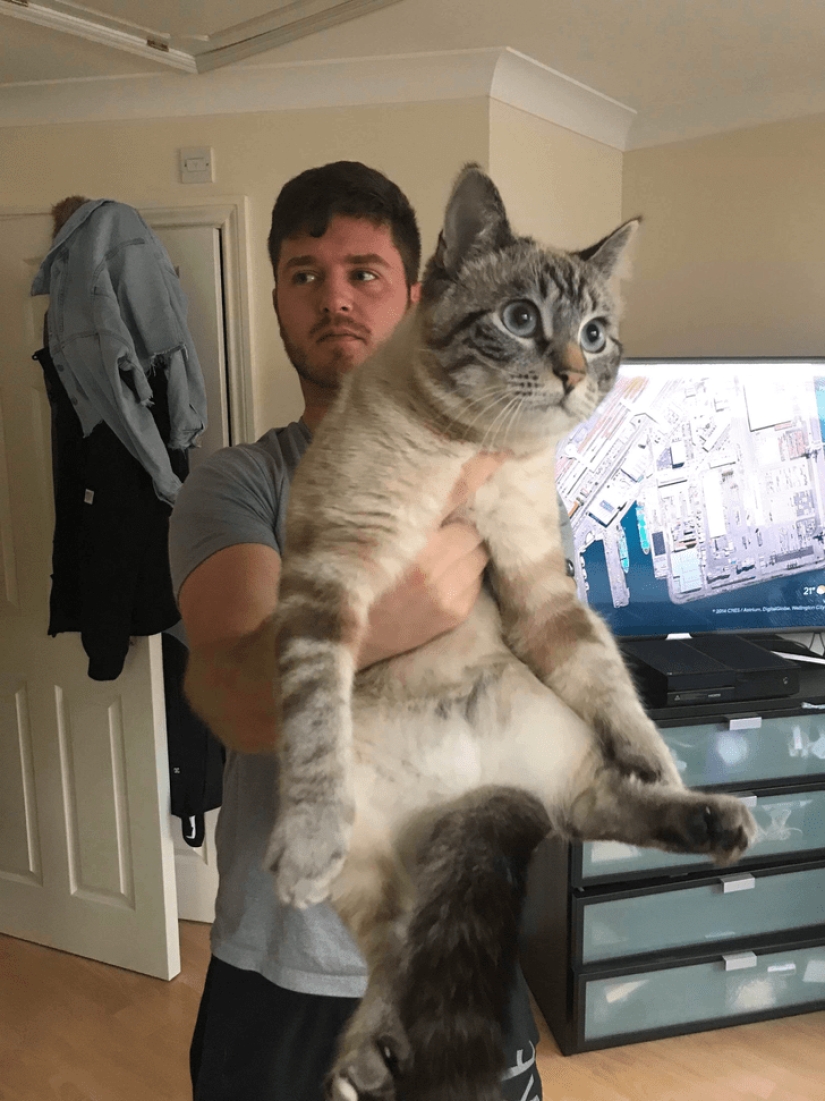 22 amazing photos where the angle decides