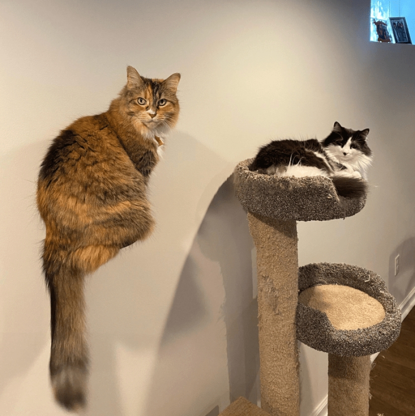 22 amazing photos where the angle decides