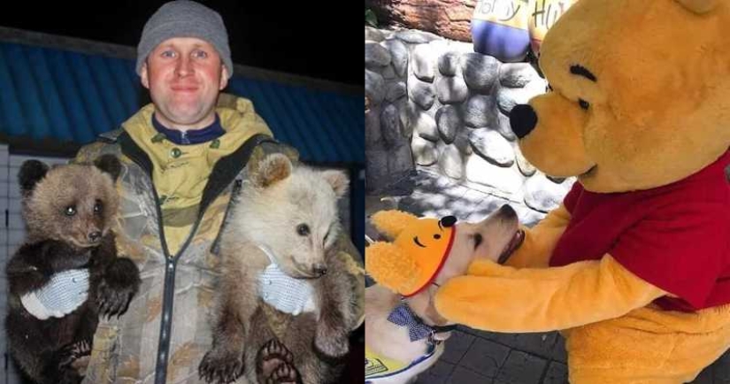 22 amazing stories about kindness 22 amazing stories about kindness
