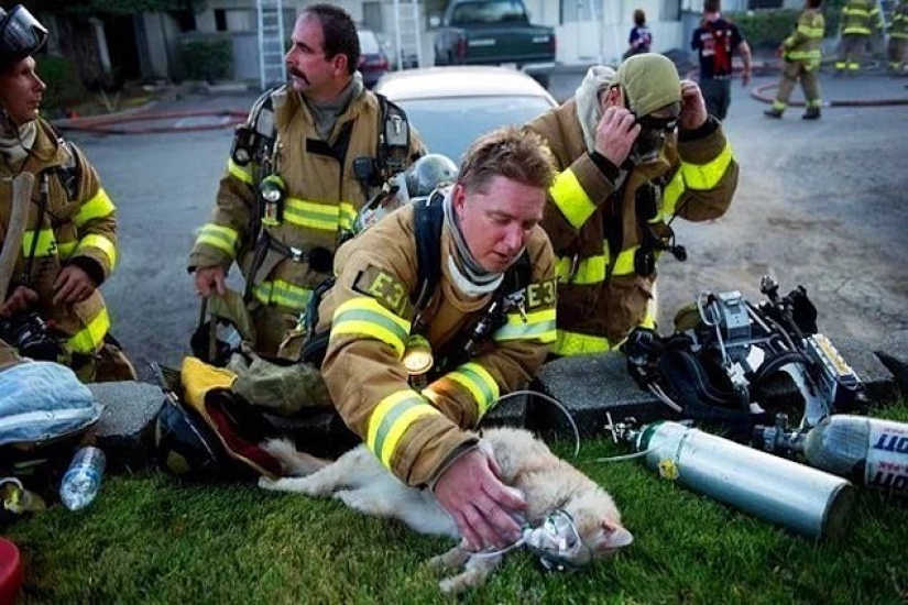 22 amazing stories about kindness 22 amazing stories about kindness
