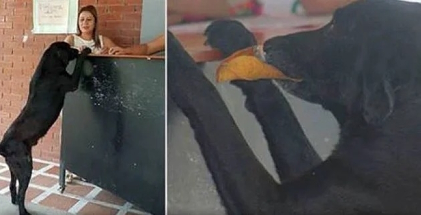 22 amazing stories about kindness 22 amazing stories about kindness