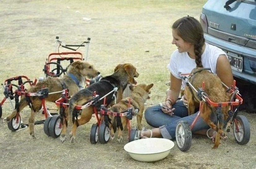 22 amazing stories about kindness 22 amazing stories about kindness