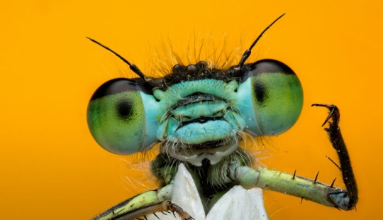 22 Award-Winning Photos From The World Nature Photography Awards 2025 22 Award-Winning Photos From The World Nature Photography Awards 2025