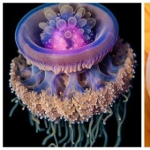 22 awesome photos showing how amazing our world is 22 awesome photos showing how amazing our world is