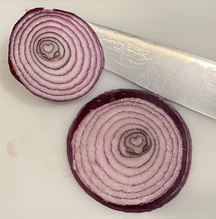 22 cases when nature surprised in the most unexpected way