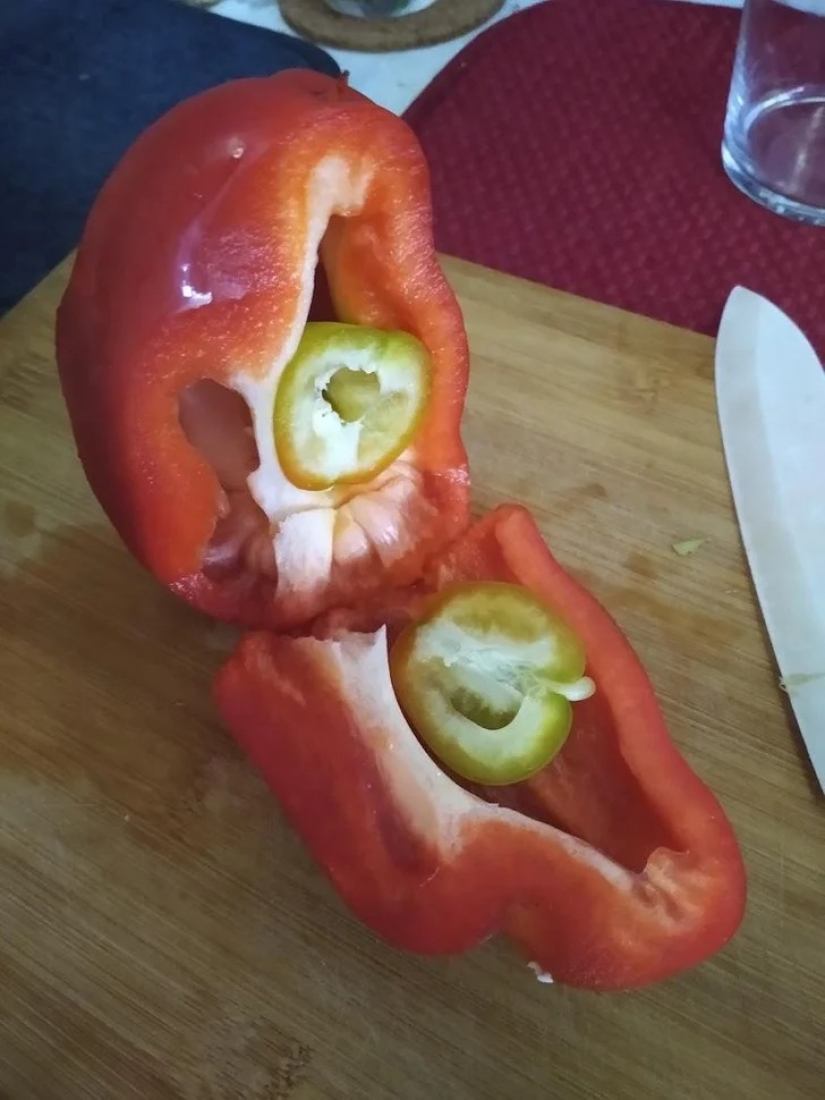 22 cases when nature surprised in the most unexpected way