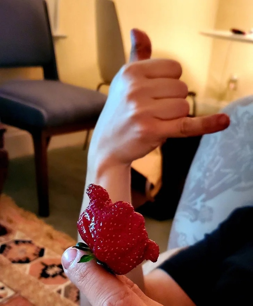 22 cases when nature surprised in the most unexpected way