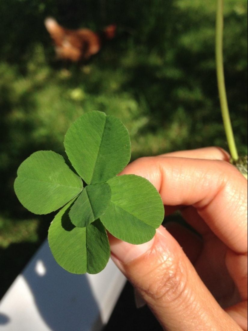 22 casos de suerte increíble