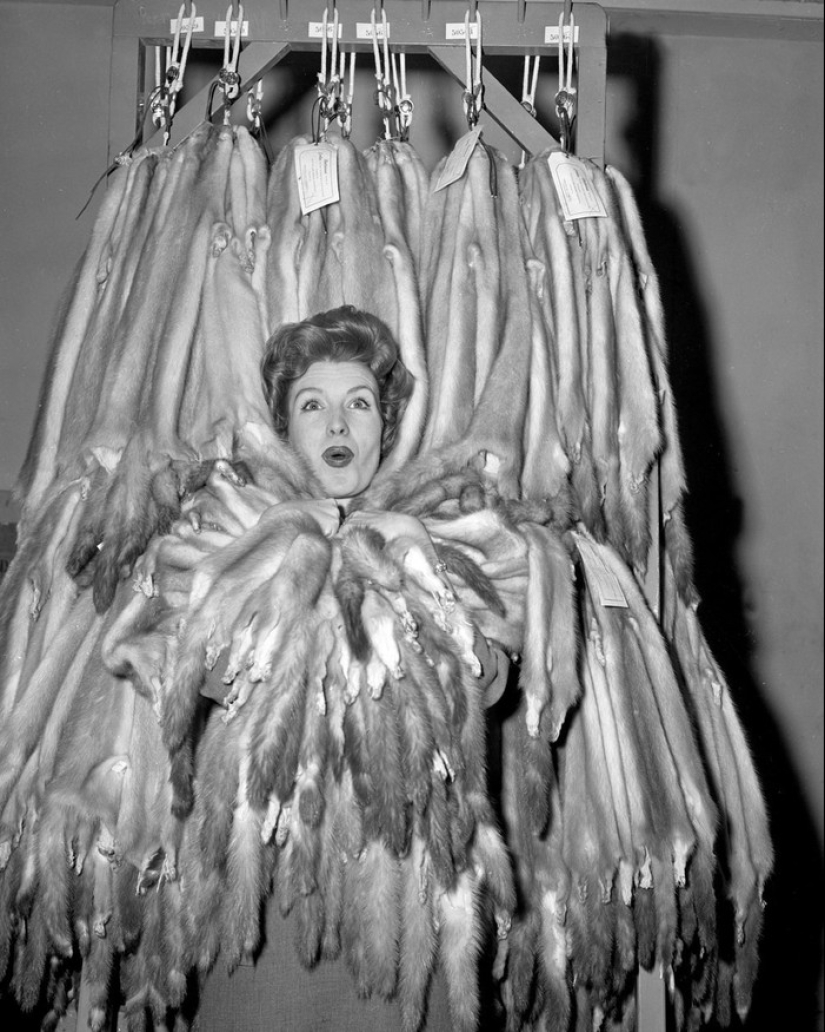 22 charming girls who won the title of beauty queen in the middle of the last century