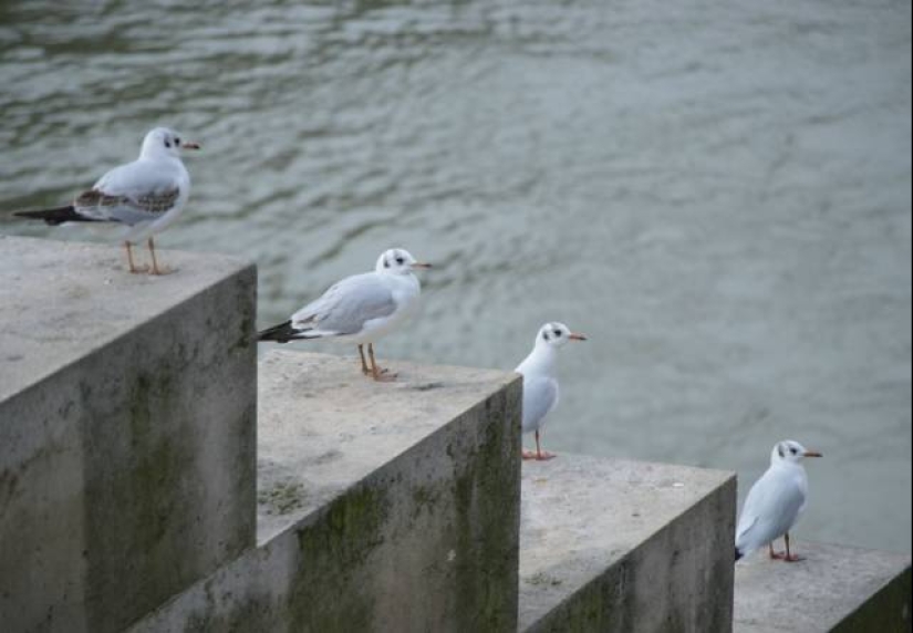 22 coincidencias increíbles que son difíciles de creer 22 coincidencias increíbles que son difíciles de creer