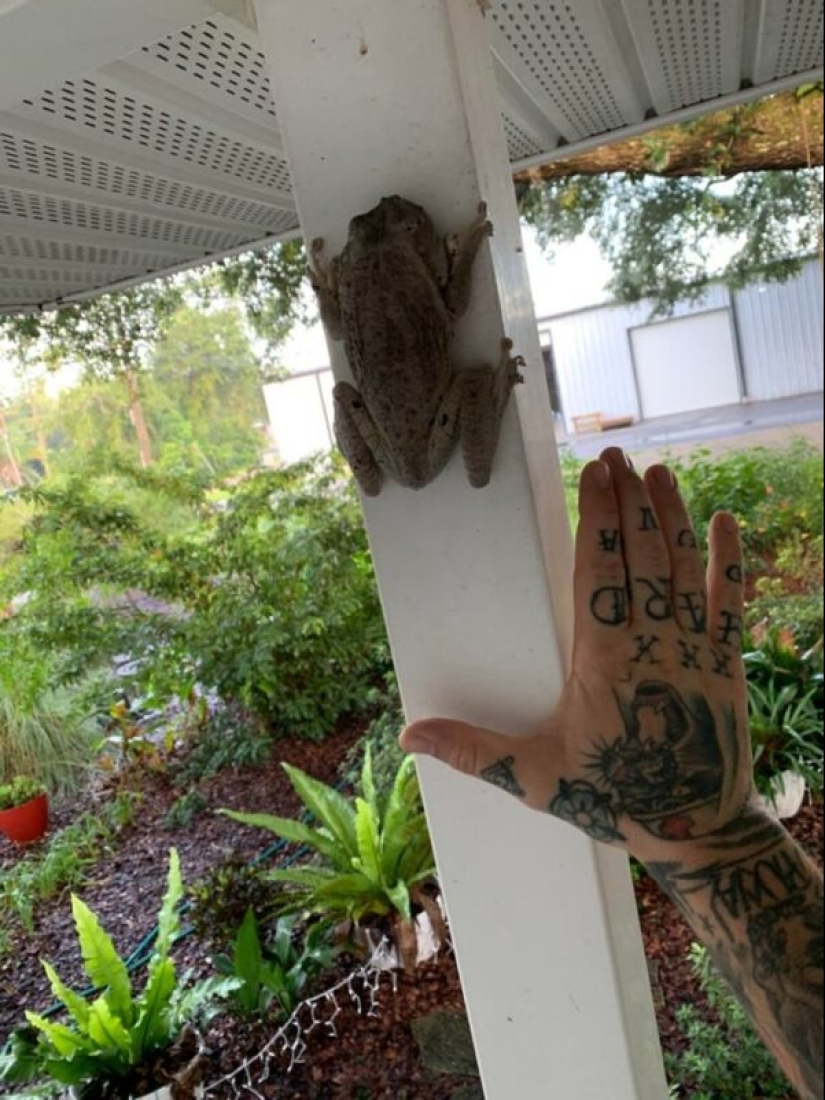 22 curiosities from all over the world that are definitely worth seeing