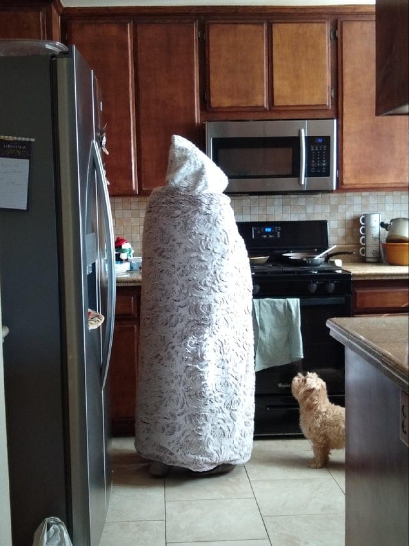 22 cute and funny photos of grandmothers who know how to surprise 22 cute and funny photos of grandmothers who know how to surprise