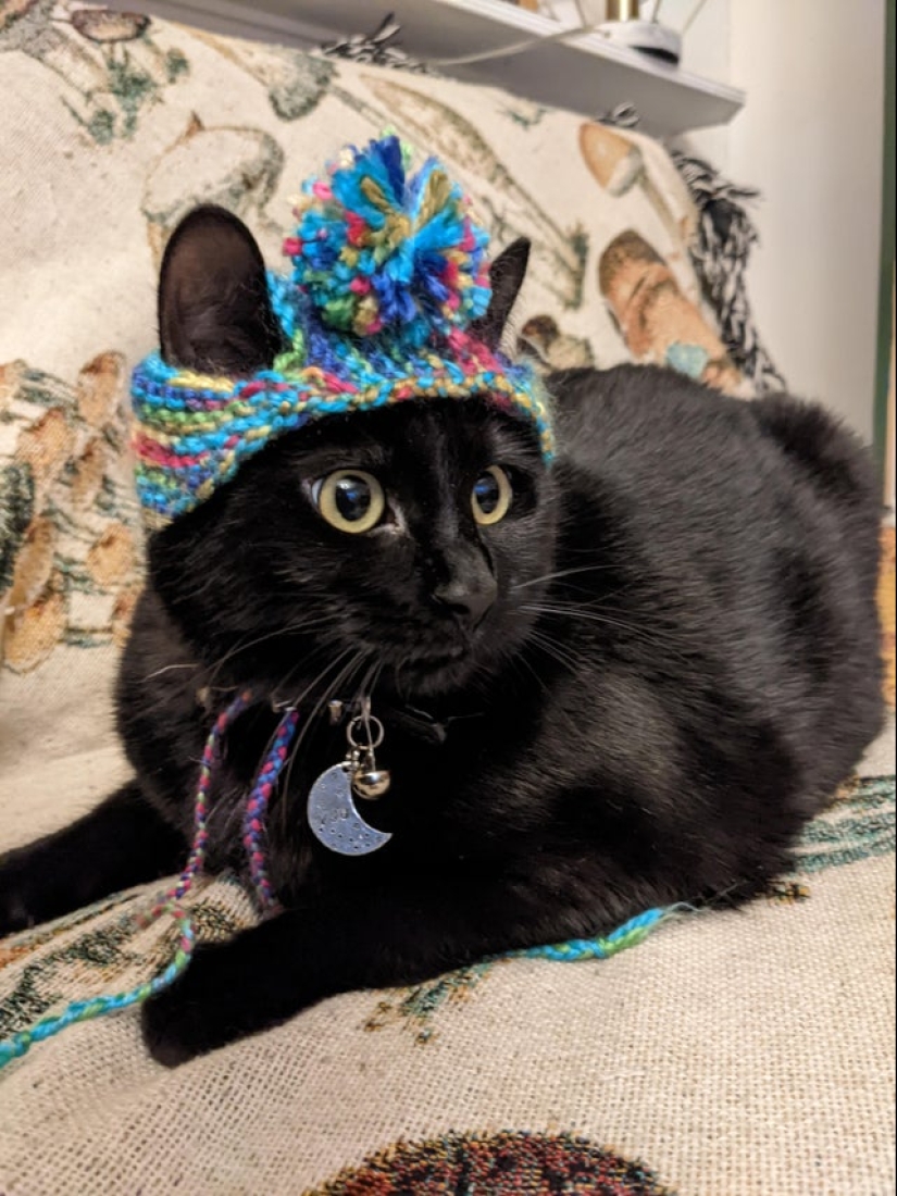 22 cute and funny photos of grandmothers who know how to surprise 22 cute and funny photos of grandmothers who know how to surprise