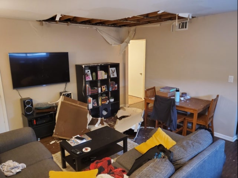 22 divertido, pero al mismo tiempo fotos tristes de personas que tuvieron mala suerte 22 divertido, pero al mismo tiempo fotos tristes de personas que tuvieron mala suerte