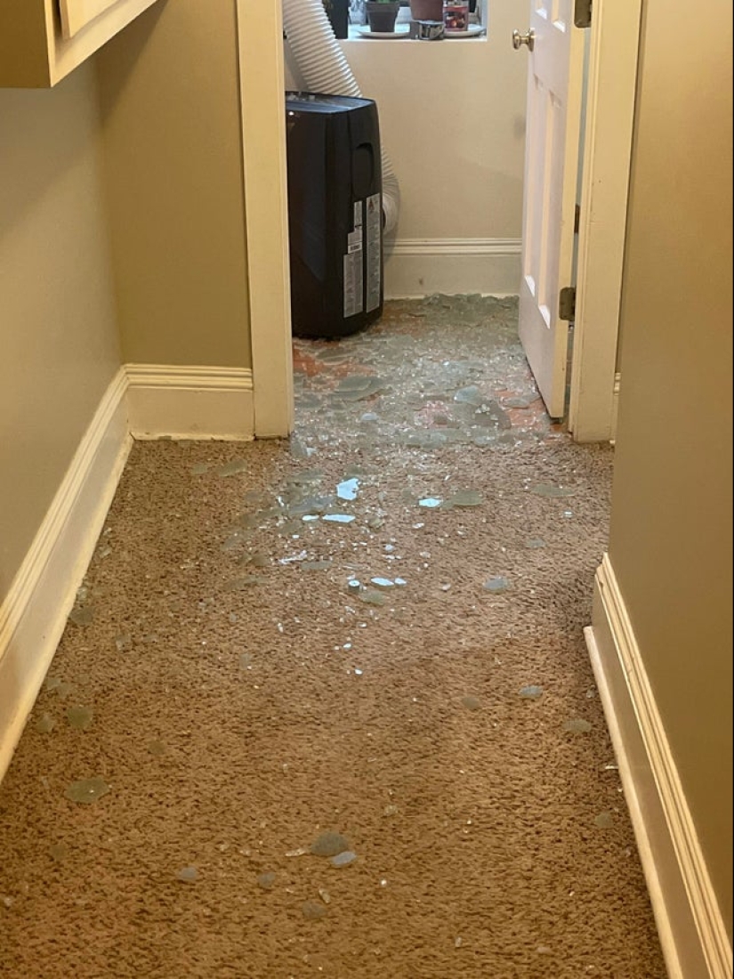 22 divertido, pero al mismo tiempo fotos tristes de personas que tuvieron mala suerte 22 divertido, pero al mismo tiempo fotos tristes de personas que tuvieron mala suerte