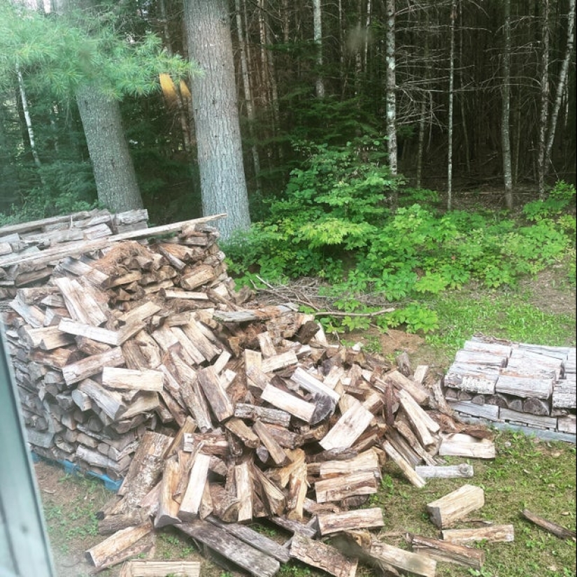 22 divertido, pero al mismo tiempo fotos tristes de personas que tuvieron mala suerte 22 divertido, pero al mismo tiempo fotos tristes de personas que tuvieron mala suerte