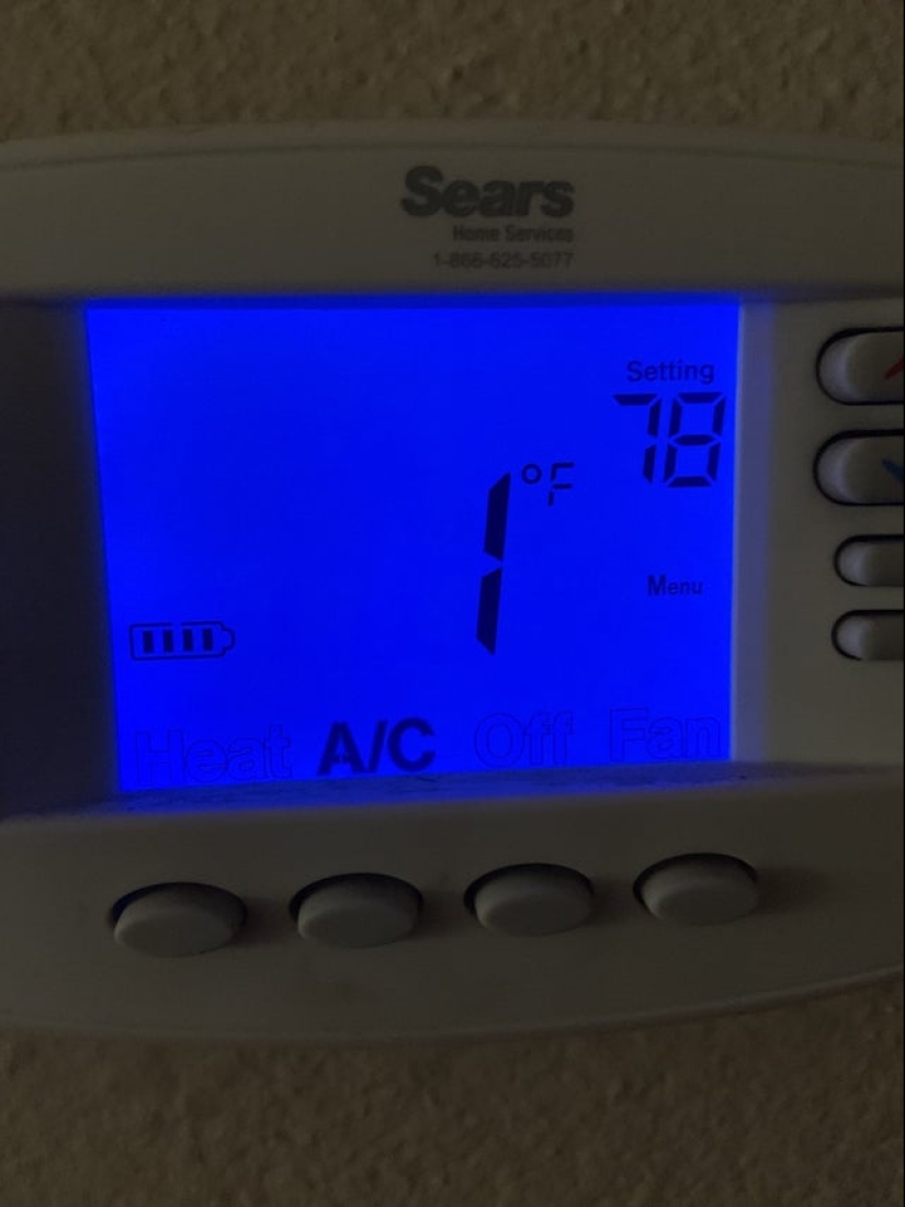 22 divertido, pero al mismo tiempo fotos tristes de personas que tuvieron mala suerte 22 divertido, pero al mismo tiempo fotos tristes de personas que tuvieron mala suerte