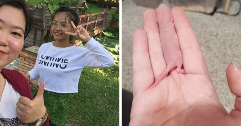 22 ejemplo de enmascaramiento, que es difícil de explicar la coincidencia 22 ejemplo de enmascaramiento, que es difícil de explicar la coincidencia