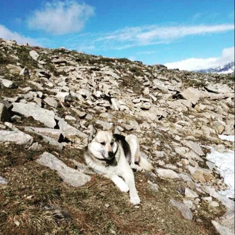 22 ejemplo de enmascaramiento, que es difícil de explicar la coincidencia 22 ejemplo de enmascaramiento, que es difícil de explicar la coincidencia