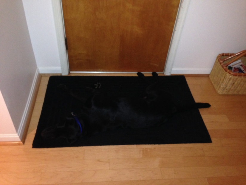 22 ejemplo de enmascaramiento, que es difícil de explicar la coincidencia 22 ejemplo de enmascaramiento, que es difícil de explicar la coincidencia