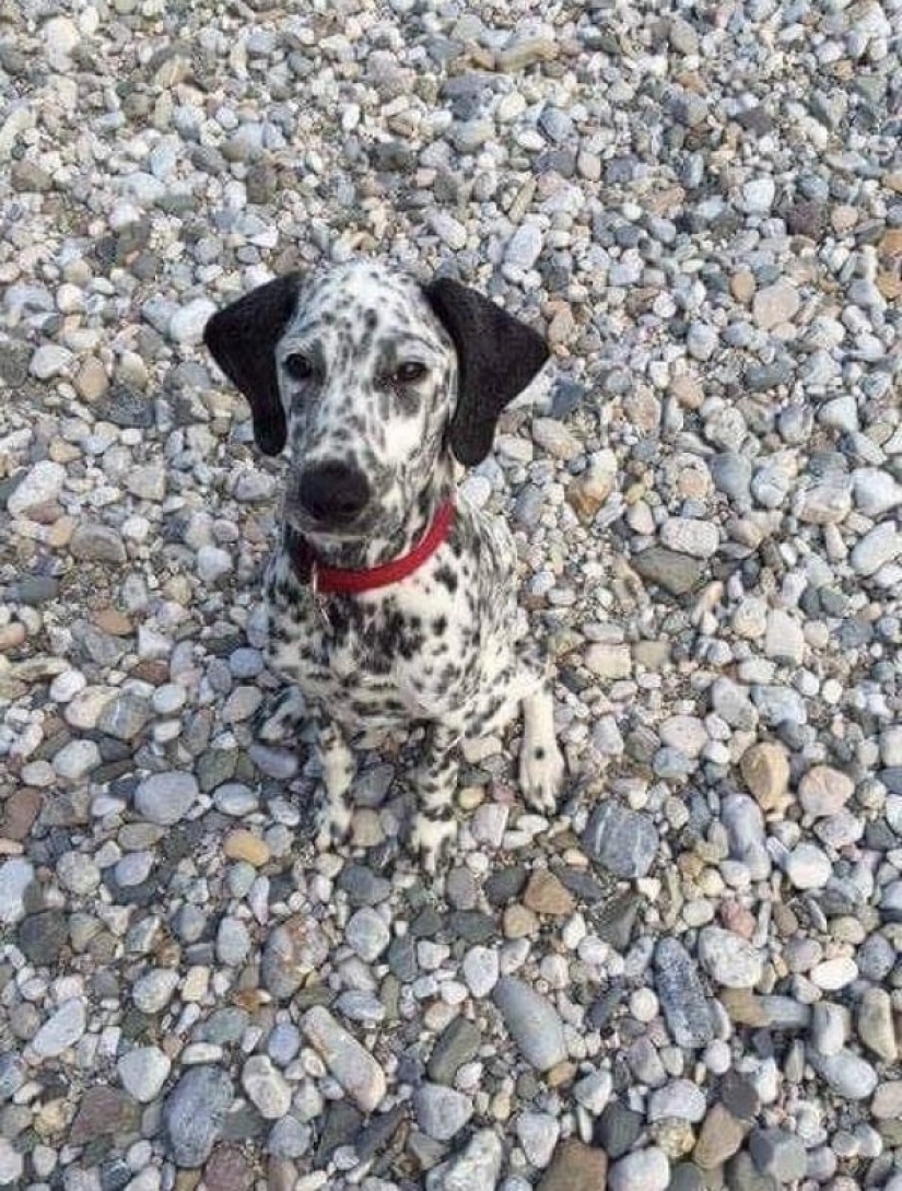 22 ejemplo de enmascaramiento, que es difícil de explicar la coincidencia 22 ejemplo de enmascaramiento, que es difícil de explicar la coincidencia