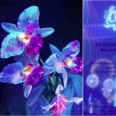 22 ejemplos de cómo el mundo circundante cambia bajo una lámpara ultravioleta 22 ejemplos de cómo el mundo circundante cambia bajo una lámpara ultravioleta