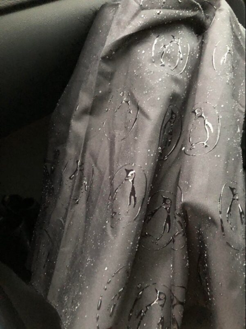 22 ejemplos de cómo convertir las cosas ordinarias en inusuales 22 ejemplos de cómo convertir las cosas ordinarias en inusuales