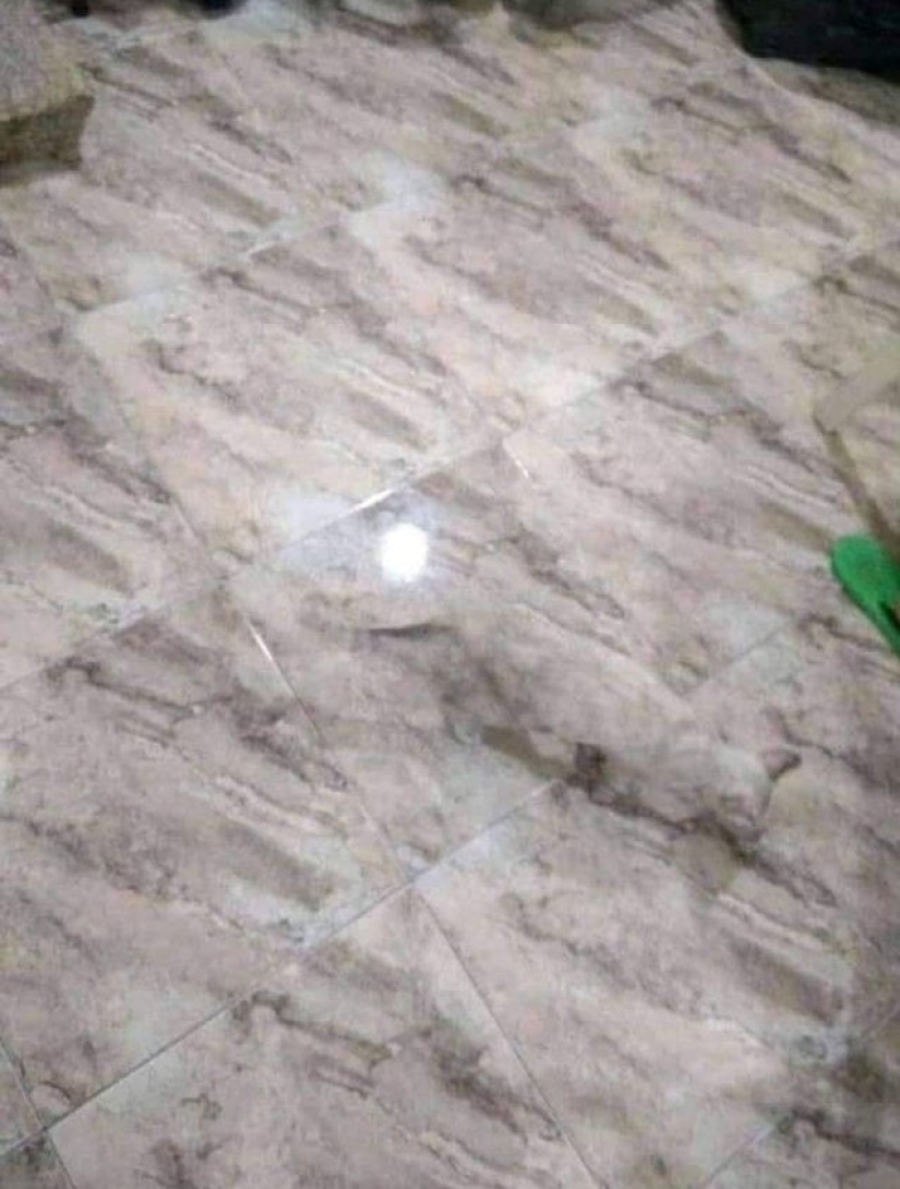 22 example of masking, which is difficult to explain the coincidence 22 example of masking, which is difficult to explain the coincidence