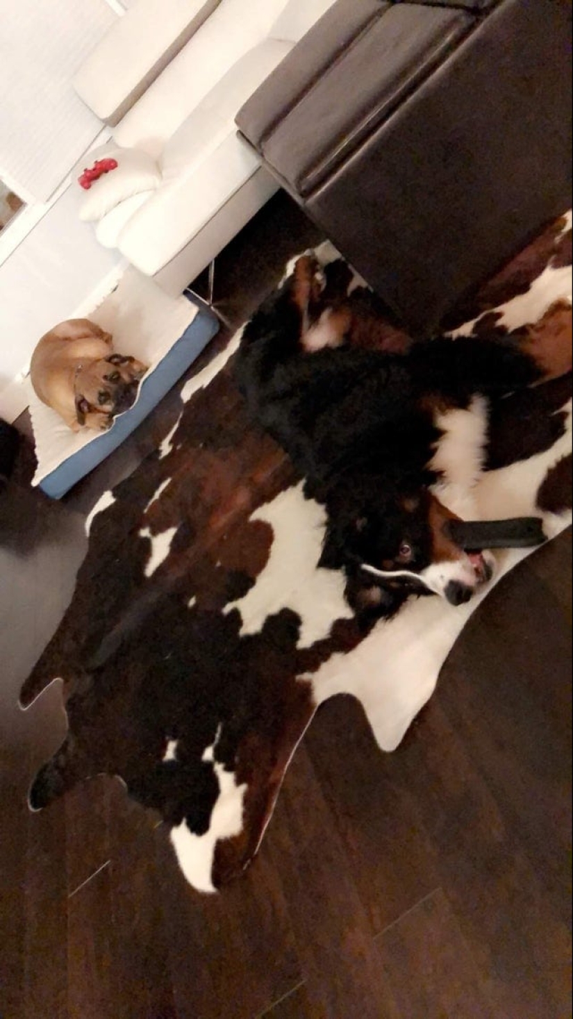 22 example of masking, which is difficult to explain the coincidence 22 example of masking, which is difficult to explain the coincidence