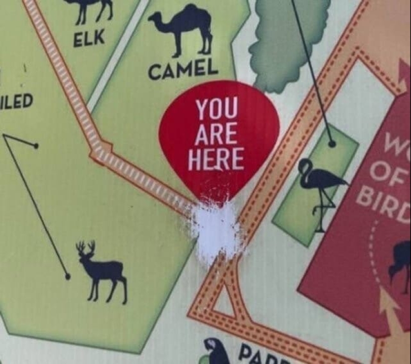 22 examples of frightening and inspiring traces of time 22 examples of frightening and inspiring traces of time