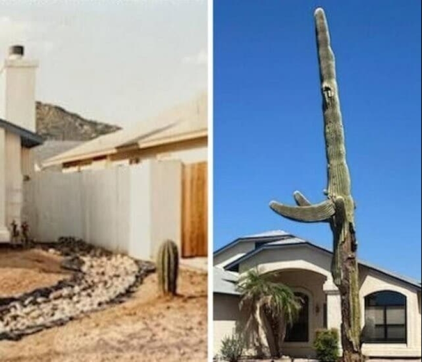 22 examples of frightening and inspiring traces of time 22 examples of frightening and inspiring traces of time