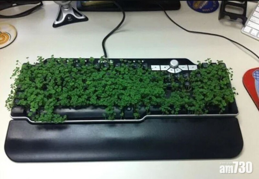 22 examples of the best office pranks and jokes 22 examples of the best office pranks and jokes