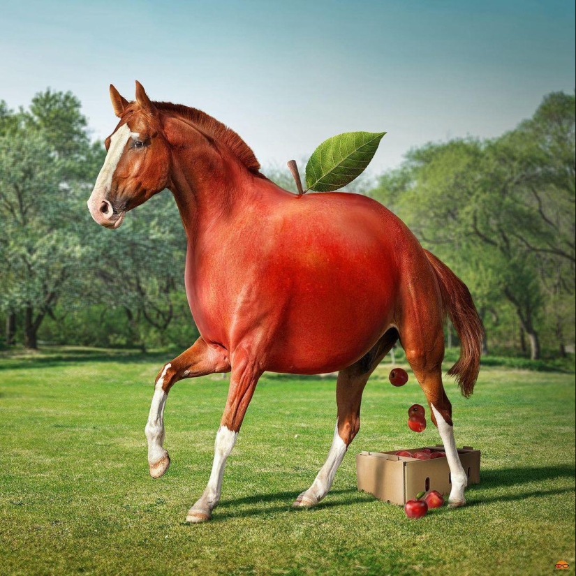 22 fantastic photo manipulations by digital surrealist Ingo Lindmeier