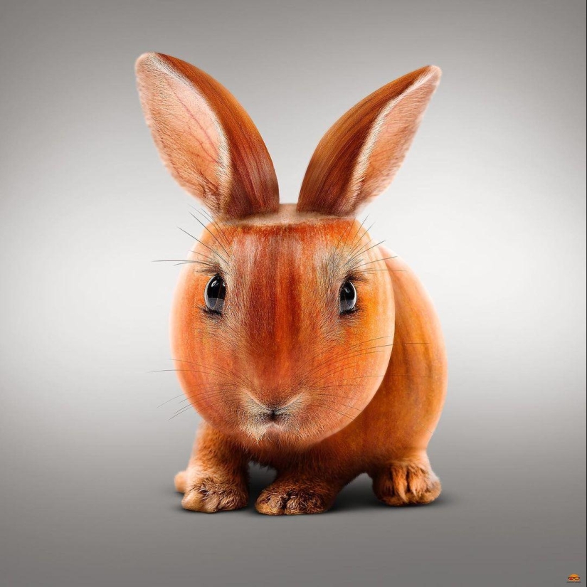 22 fantásticas manipulaciones fotográficas por el surrealista digital Ingo Lindmeier 22 fantásticas manipulaciones fotográficas por el surrealista digital Ingo Lindmeier