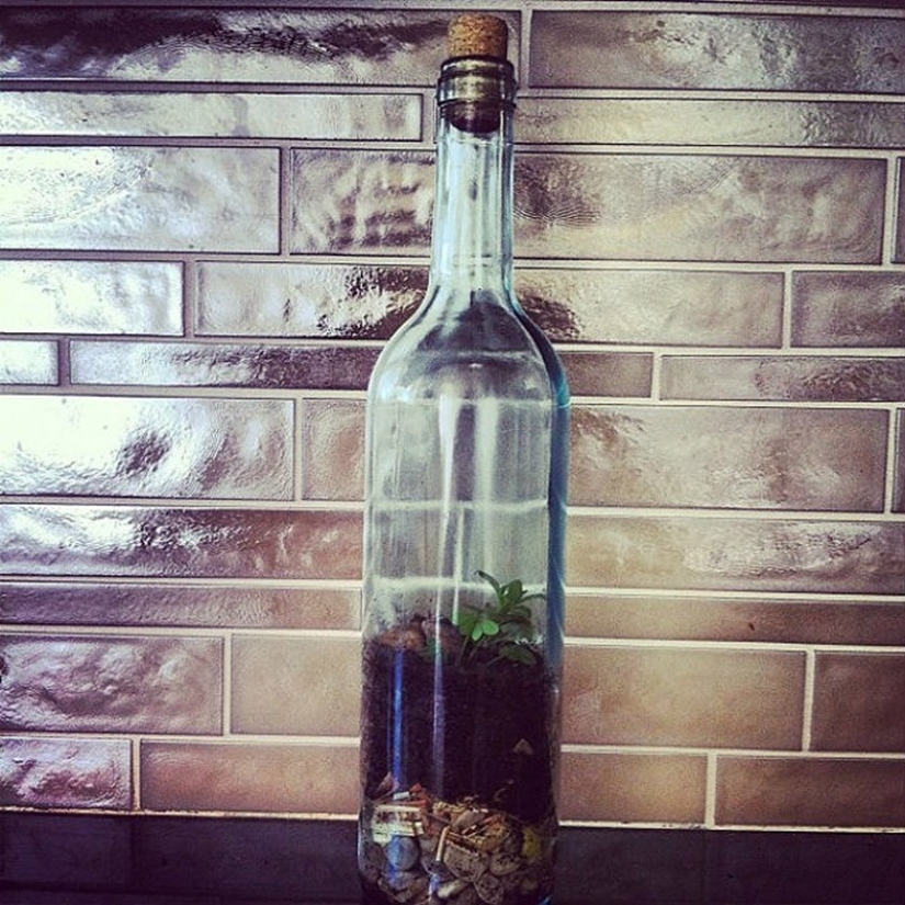 22 formas de convertir una botella vacía en una práctica obra de arte