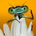 22 fotografías premiadas en los World Nature Photography Awards 2025 22 fotografías premiadas en los World Nature Photography Awards 2025