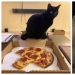 22 fotos con gatos y pizza. ¿Qué podría ser más hermoso? 22 fotos con gatos y pizza. ¿Qué podría ser más hermoso?