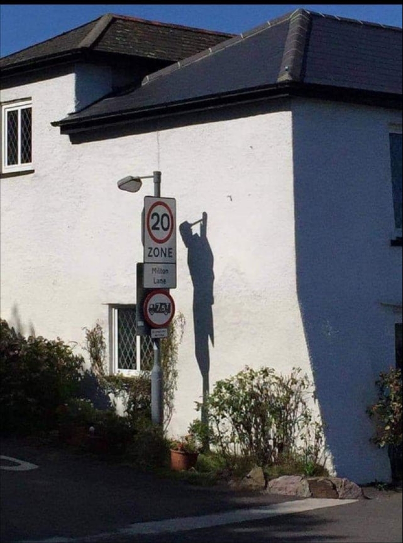 22 fotos divertidas de la serie" it seemed " que vale la pena mirar dos veces