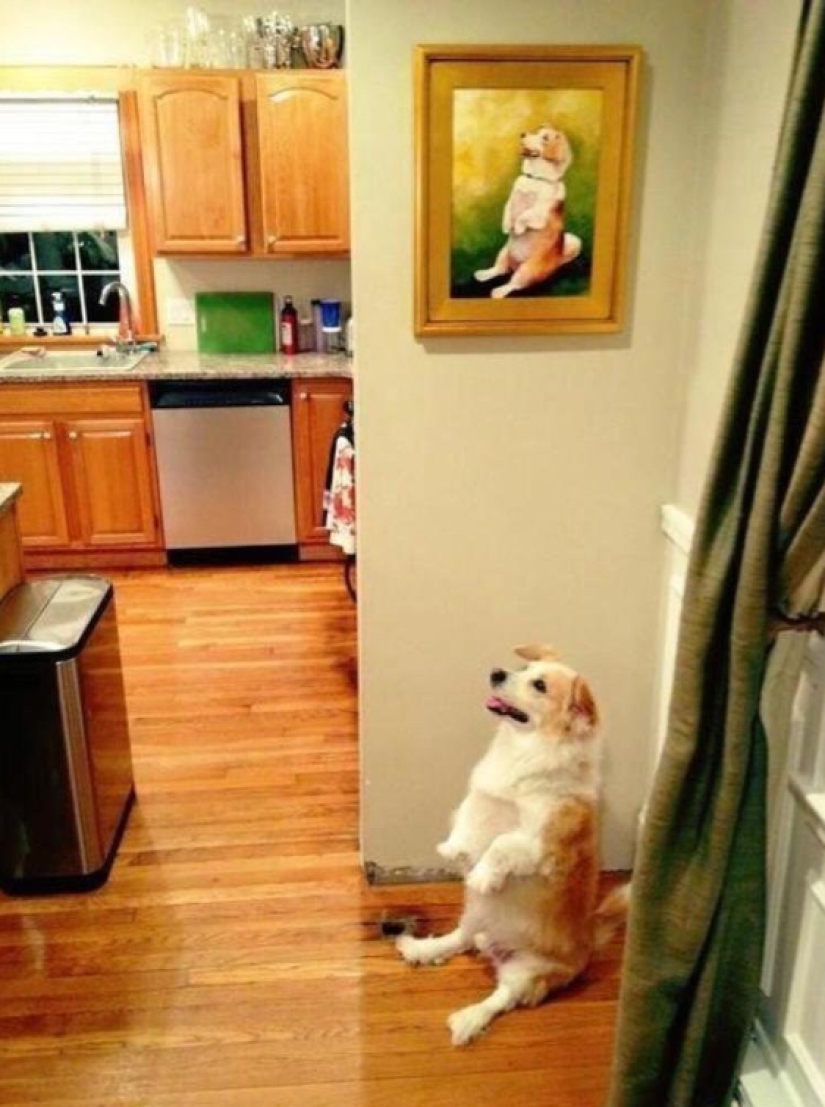 22 fotos donde no se puede saber dónde está la vida y dónde está el arte