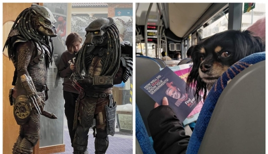 22 fotos que han adquirido un significado especial debido a un ángulo fallido 22 fotos que han adquirido un significado especial debido a un ángulo fallido