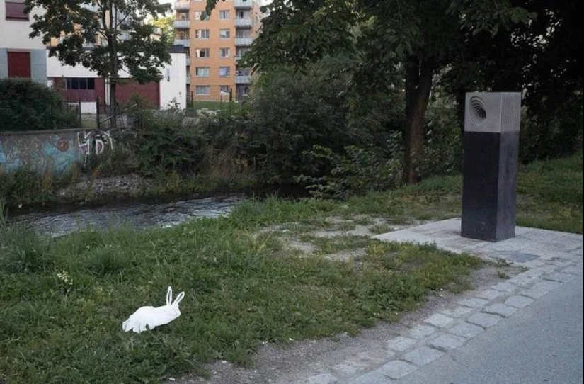 22 fotos que tendrás que mirar dos veces para entender lo que está sucediendo