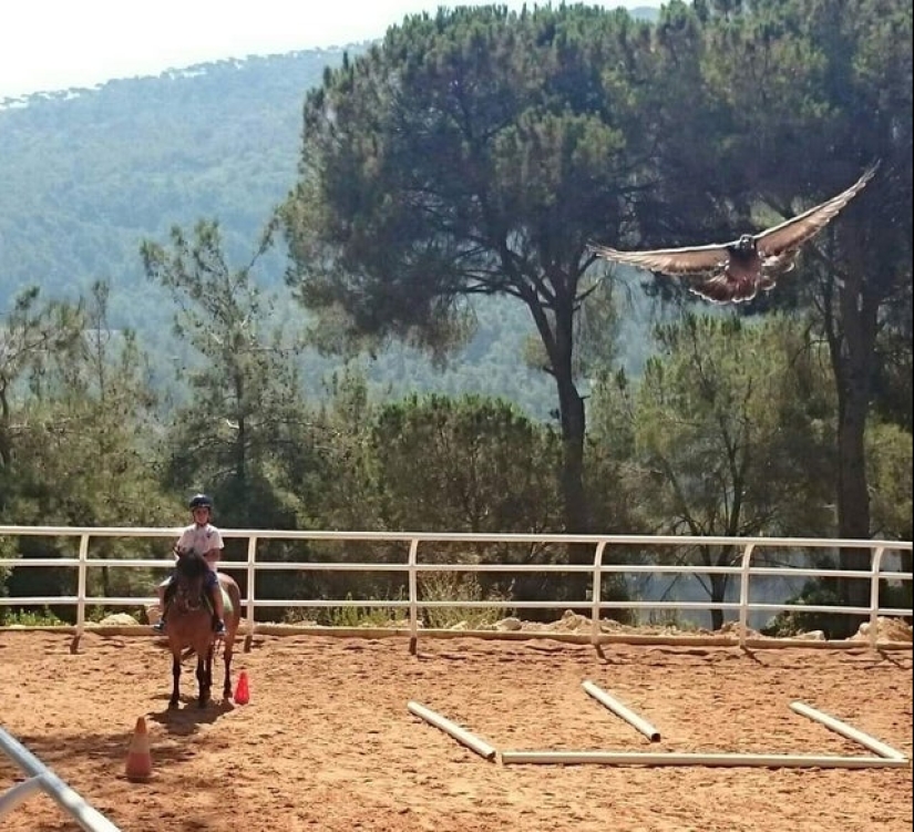 22 fotos tomadas en el momento más oportuno 22 fotos tomadas en el momento más oportuno