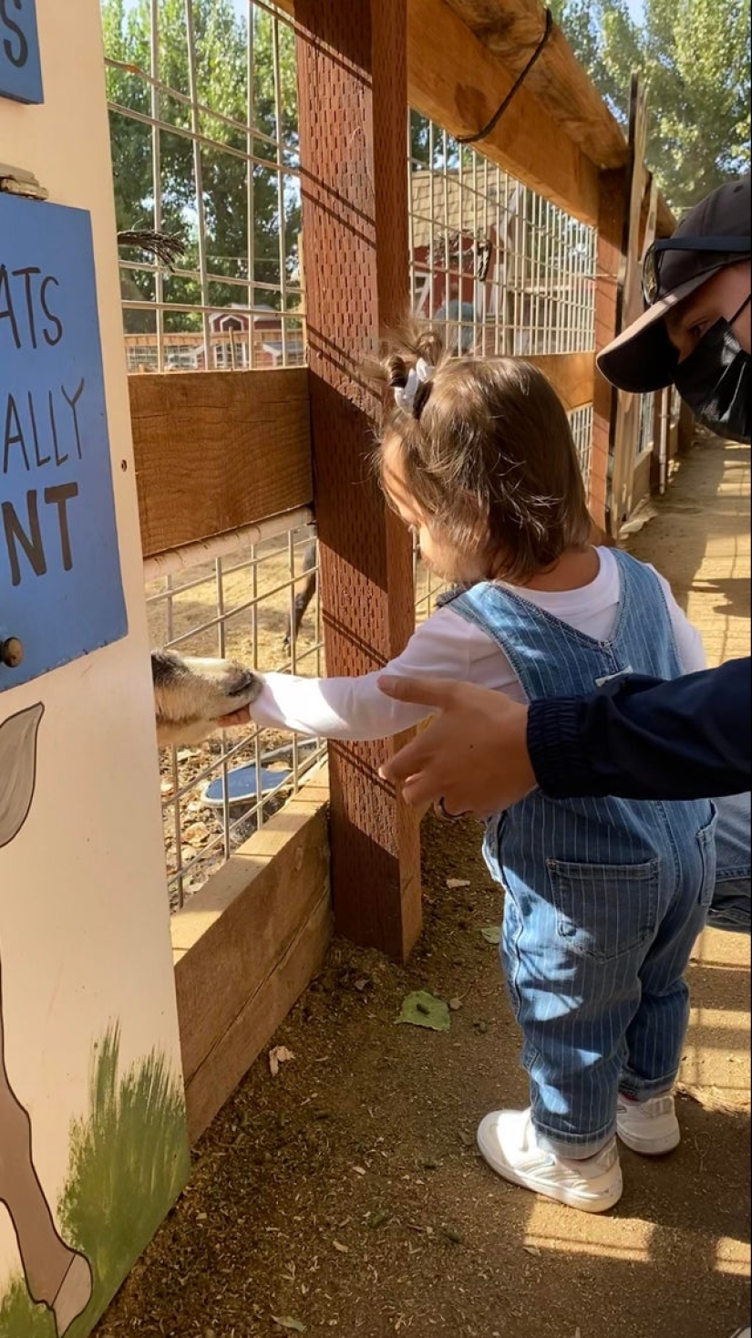 22 fotos tomadas en el momento más oportuno 22 fotos tomadas en el momento más oportuno