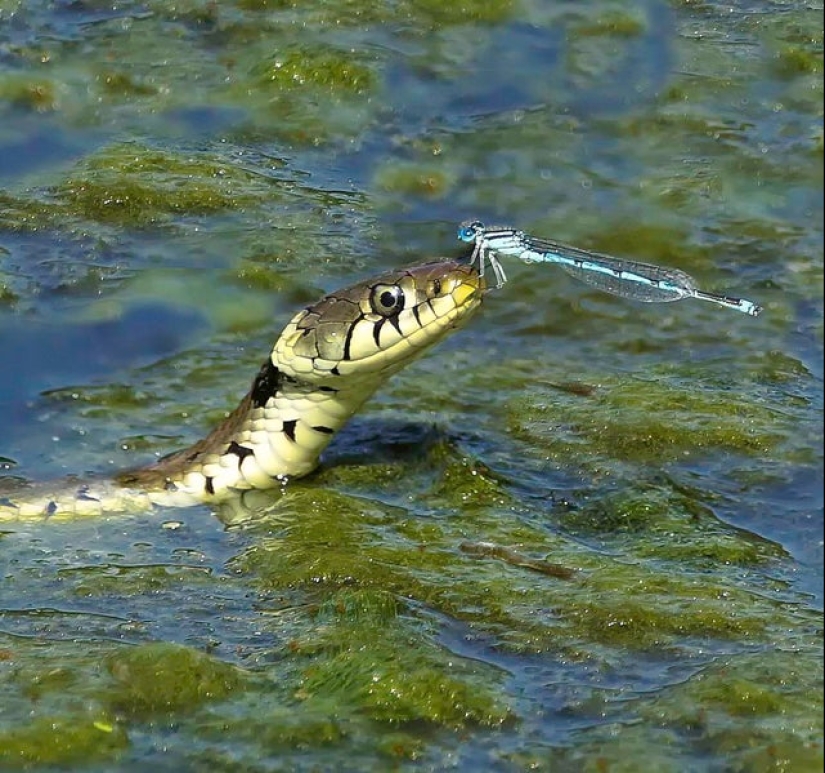 22 fotos tomadas en el momento más oportuno 22 fotos tomadas en el momento más oportuno