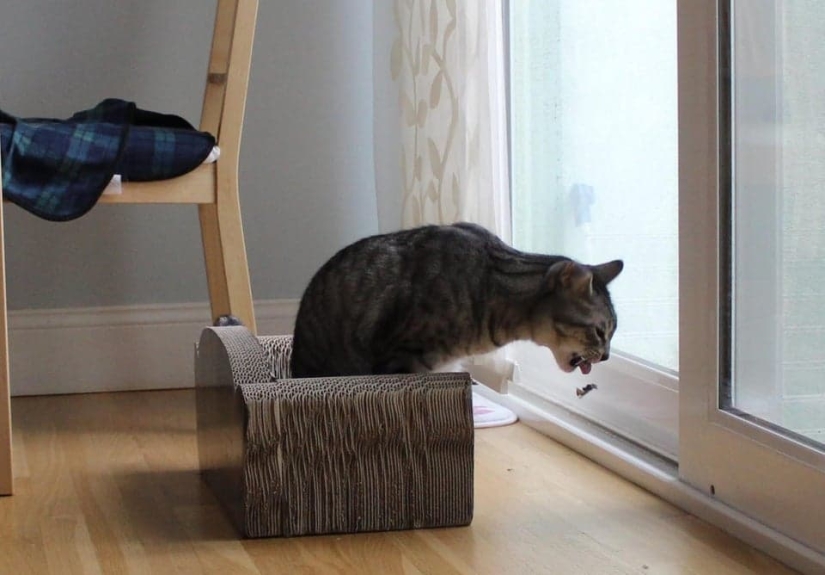 22 fotos tomadas en el momento más oportuno 22 fotos tomadas en el momento más oportuno