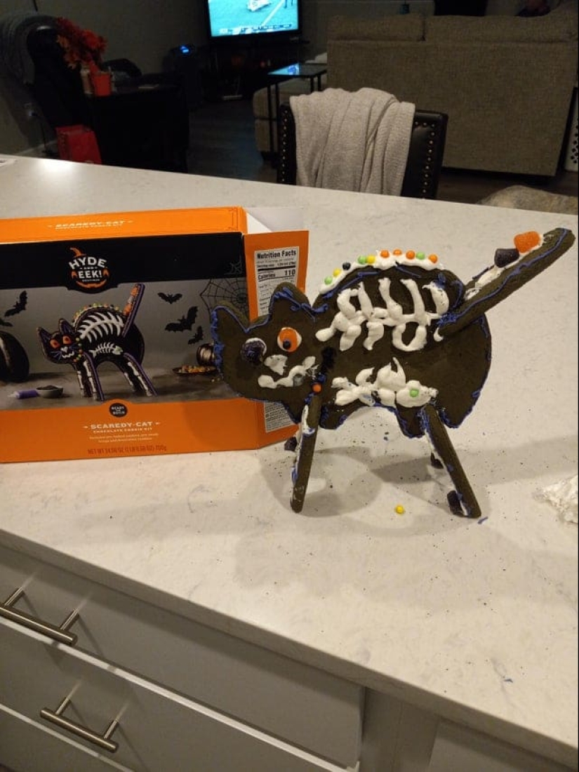 22 funny and at the same time sad photos from the series "Expectation and Reality"